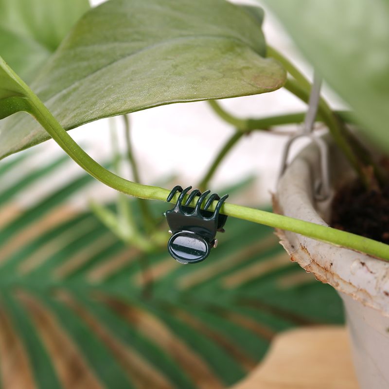 100 Uds anillos de fijación para plantas Clips para jardinería flor