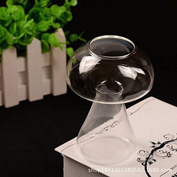 Vase En Verre Transparent Bouteille Pour Plantes Grandado