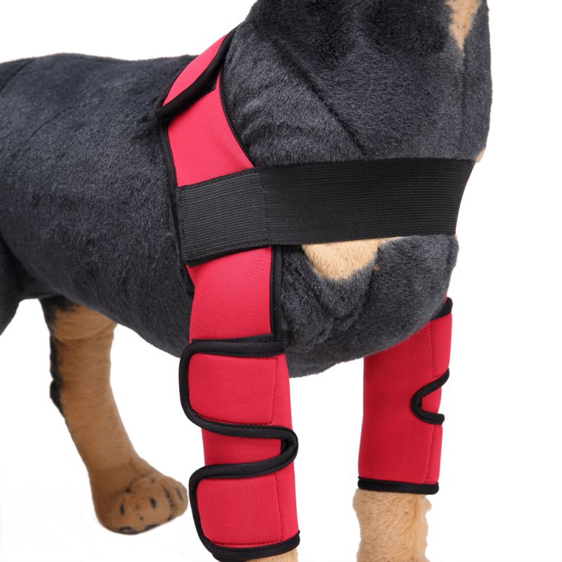 Hond Elleboog Protector Sleeve Elleboogbeschermers Grandado