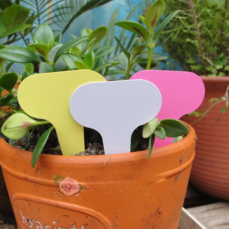 50 Stks Set Herbruikbare Plastic Plant Tuin Decora Grandado