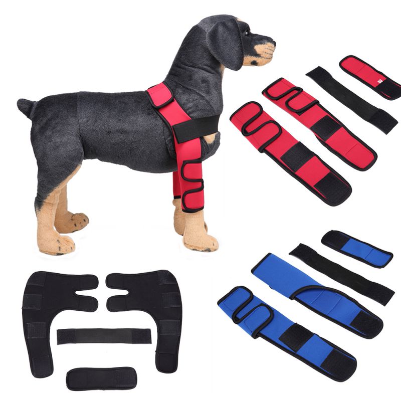 Hond Elleboog Protector Sleeve Elleboogbeschermers Grandado