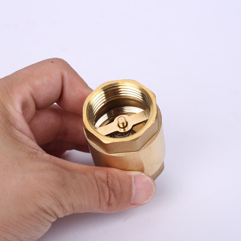 Brass In Line Spring Check Valve Thread One Way Ch Grandado