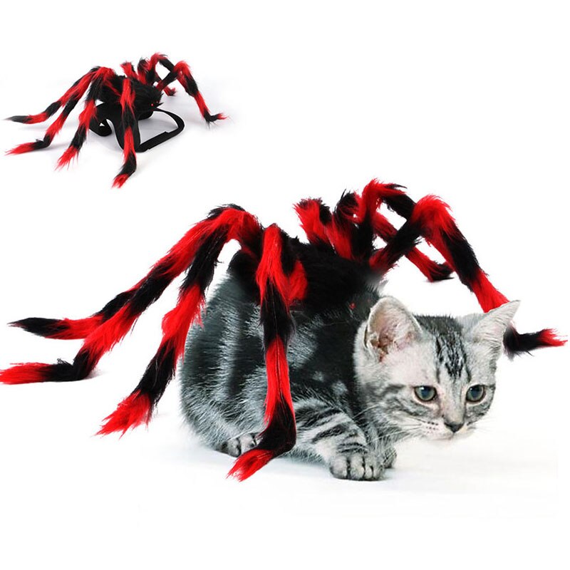 Halloween Spider Kostuum Voor Honden Katten Hallow Grandado