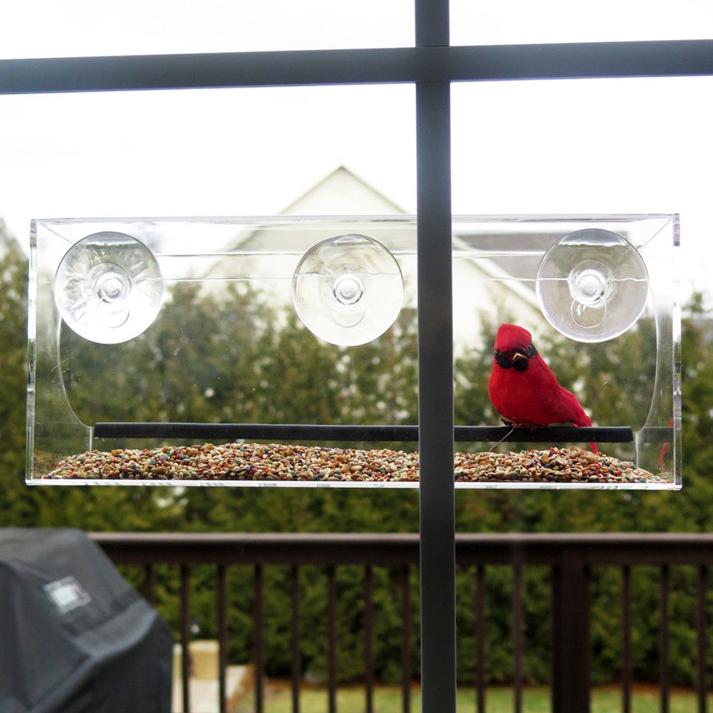 Tablett Fenster Zauberstab Montiert Vogel Zubringe Grandado