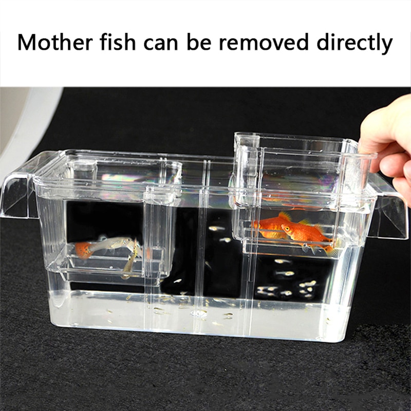 External Breeding Isolation Box Acrylic Aquarium D Grandado