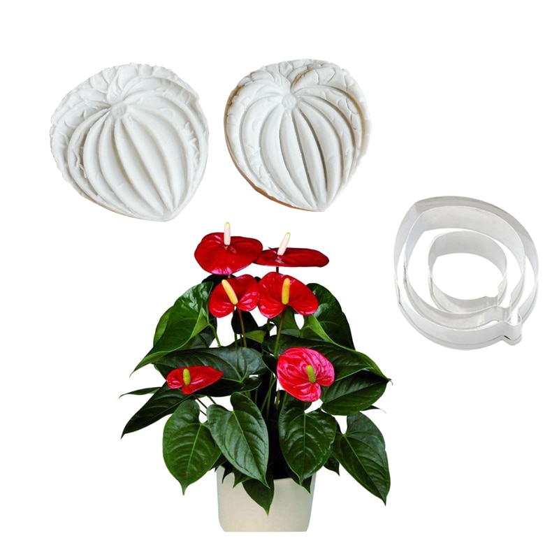 Anthurium Petal Veiner Silicone Mould Fondant Bloe Grandado