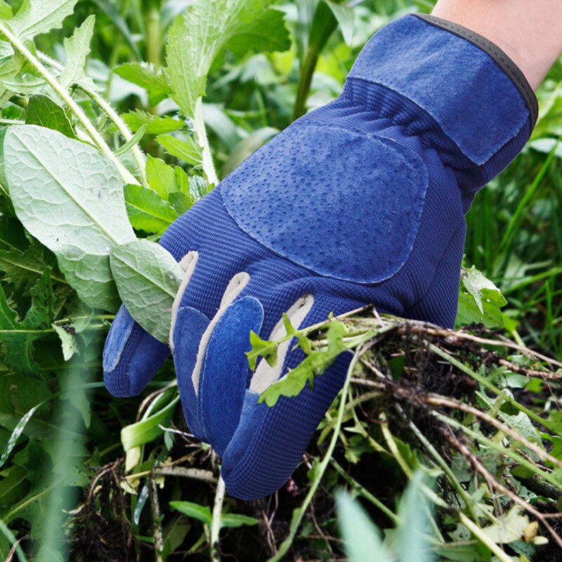 Guantes Largos De Jardiner A Para Hombre Y Mujer Grandado