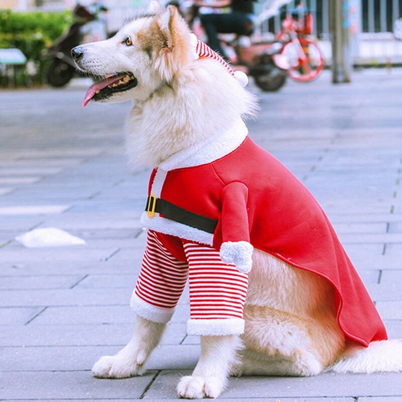 Ropa De Navidad Para Gatos Perros Peque Os Y Grandes Dos Patas De