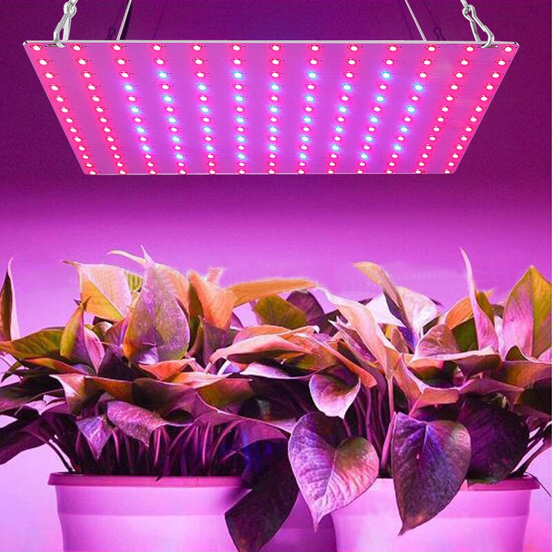 W Led Grow Licht Volledige Spectrum Groeien L Grandado