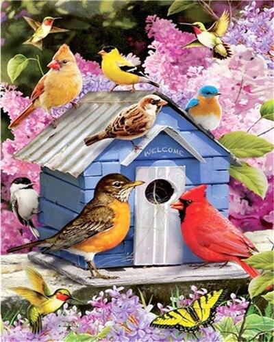 AZQSD Unframe peinture pour travaux manuels par numéros sur toile fleur Dewcor pour la maison peinture à l'huile par numéros ensemble oiseaux peint à la main
