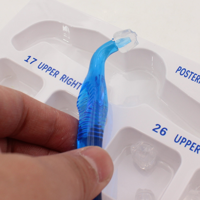 1 Set Dental Posterior Teeth Aesthetic Printing Set Posterior Teeth Impression Printing Set Dental Oral Material