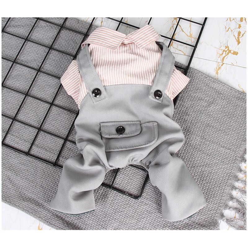 Dog Clothes for Small Dogs for Autumn and Winter Four Feet with Velvet Striped Suspers Pet Clothing Fresh Preppy Style