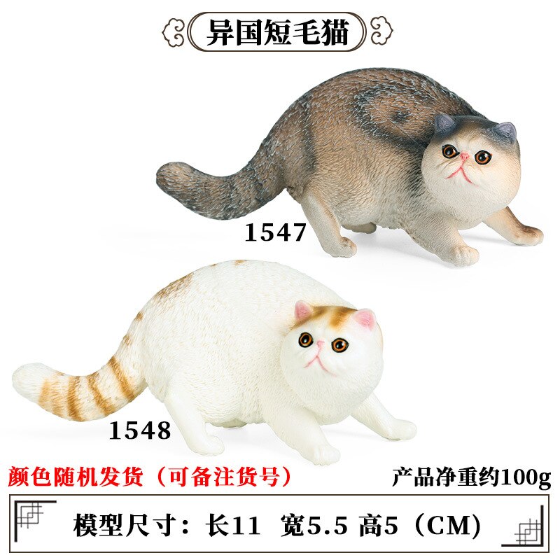 2 Stuks Wild Jungle Zoo Animal Model Actiefiguren Leeuw Tige Rhino Cheetah Collection Beeldjes Educatief Speelgoed Voor Kinderen: 2pcs Cat