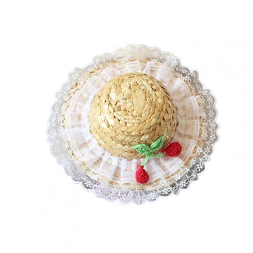 Cool Puppy Hat Sun Lace Ruffled Hem Adorable Straw Pet Photography Hats for Summer Dogs Caps Accessories Decor: S / WHITE