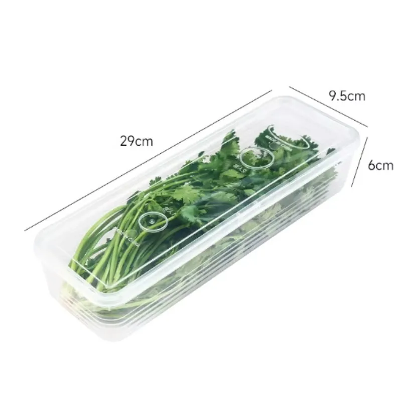 Fresh Box Refrigerator Storage Boxes Scallions Food Container with Lid Cold Crisper Sealed Kitchen Fresh Fruit Fridge Organizer: Default Title