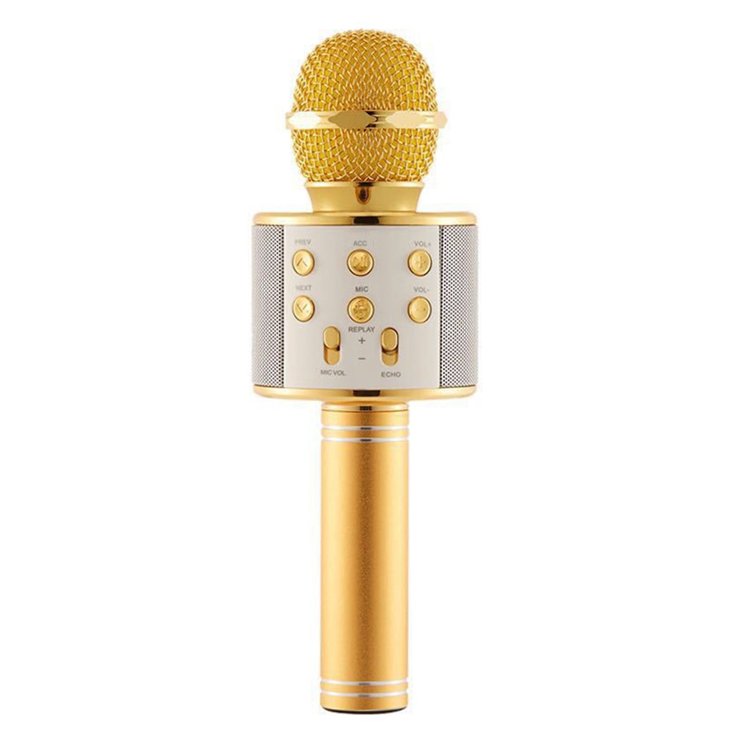Wireless Karaoke Microphone Bluetooth Handheld Portable Speaker Home KTV Player with Dancing LED Lights Record Function for Kids: NO.1