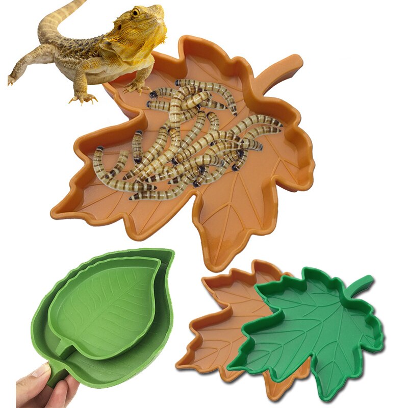 Cuenco de agua y comida para reptiles y tortugas, comedero de hoja para comida, plato, comedero de reptiles