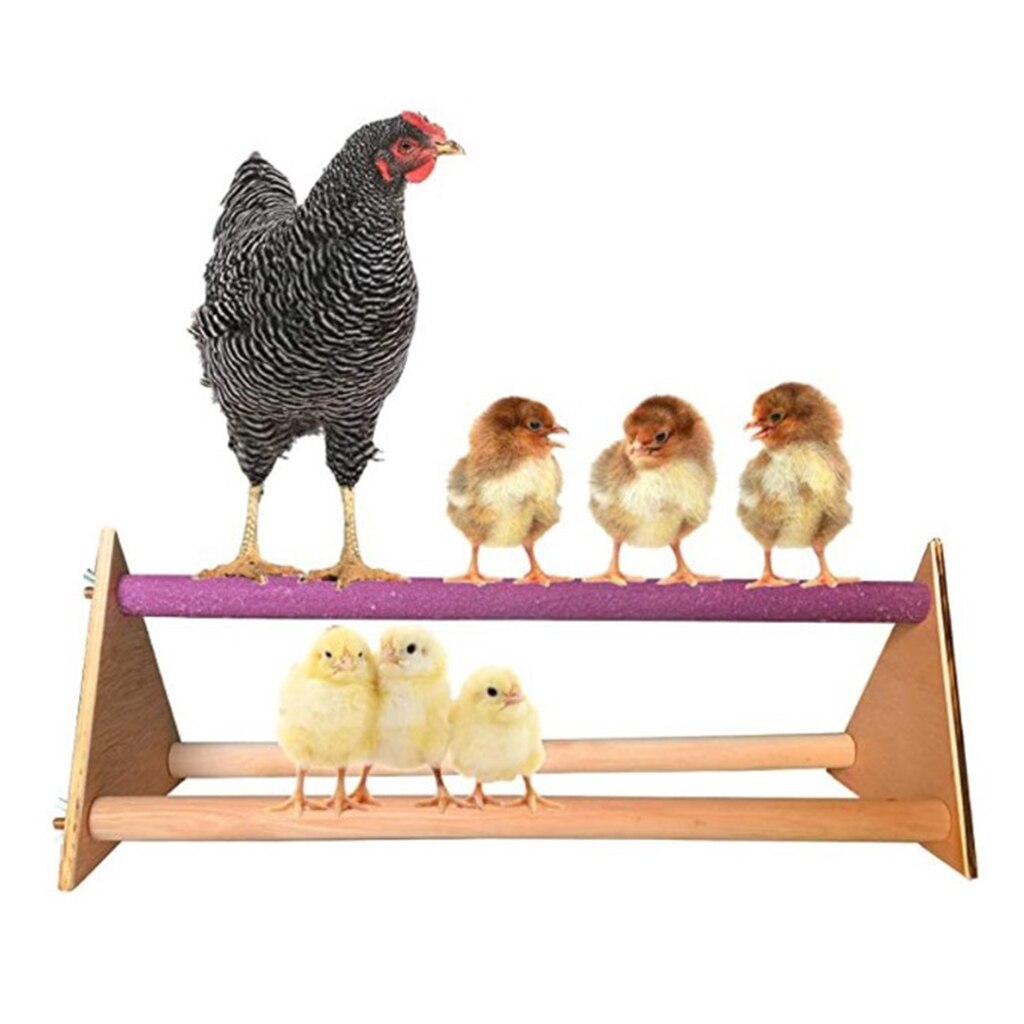 1pc Handmade Chicken Swing Bird Perch Stand Toy for Large Bird Parrot Hens Macaw