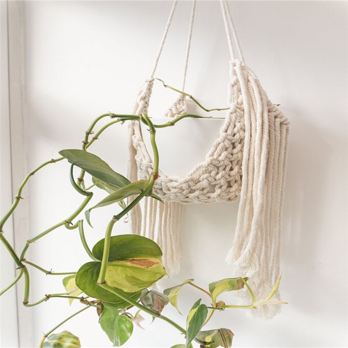 Macrame kori kasvi ripustin hedelmäkori