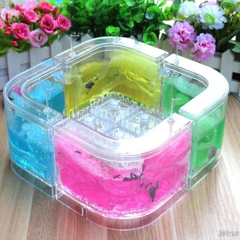 3D Ant Farm Educational Maze Live Feeding System Ants Habitat World Pet Villa