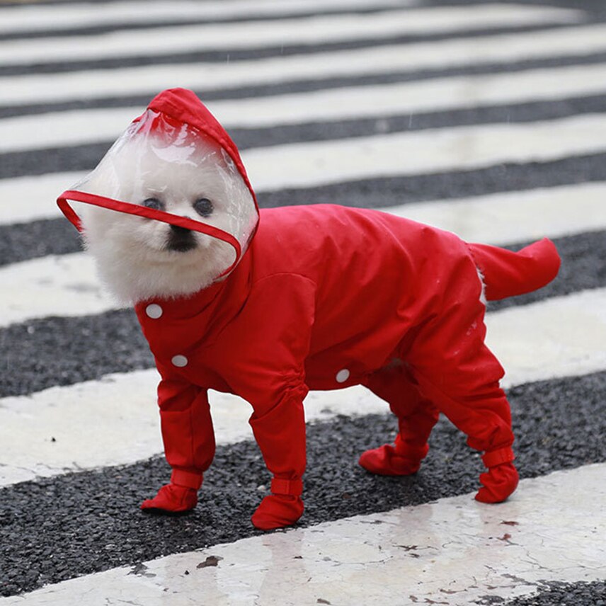 Chubasquero impermeable para perro, mono de cuatro patas, todo incluido, abrigo de lluvia con capucha para perros pequeños y medianos, ropa para perros, disfraz: Red / M