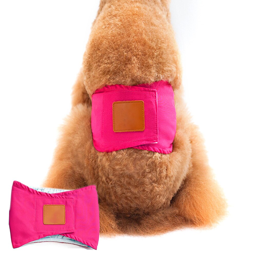Honhund fysiologiska tvättbara byxor hundshorts trosor sanitetsskydd husdjur säkerhetsbyxor underkläder trosor för hund: Röd / Xl