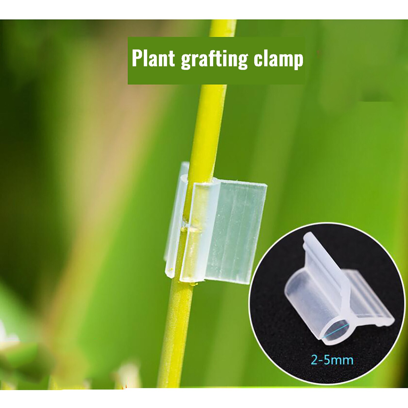 Pinces de greffage en plastique, 100 pièces, pinces de greffage en forme de tomate, pince de greffage en plastique, N50