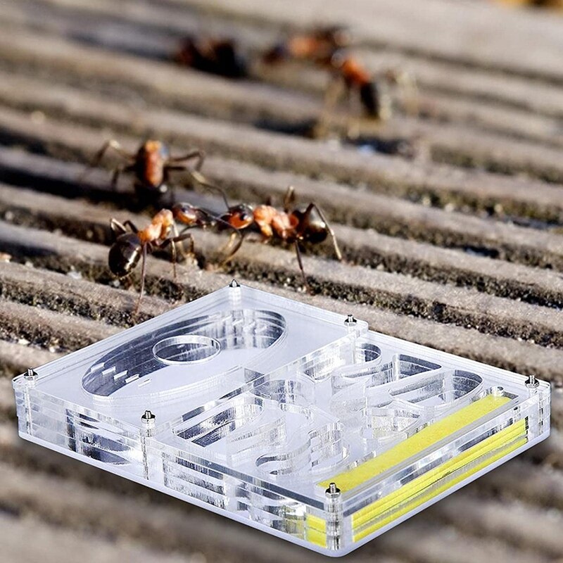 Boîte d&#39;élevage de fourmis en acrylique, ferme de fourmis, nid d&#39;insecte, boîte d&#39;alimentation de ferme, coffret de ferme de fourmis éducatif, Kit de ferme de fourmis