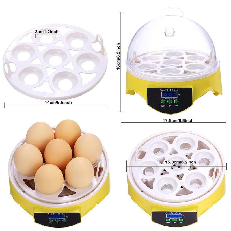 Incubadora de 7 huevos para aves, máquina automática para incubar huevos de codorniz inteligente, loro, suministros de granja, para niños