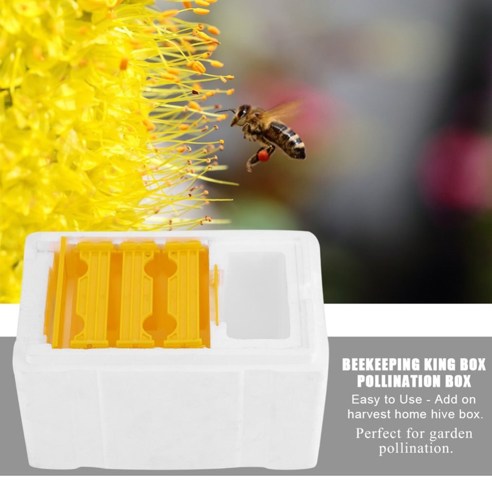 Beekeeping Tools Foam Beehives Bee Tail Boxes Bee Breeding Boxes Pollination Box Sets