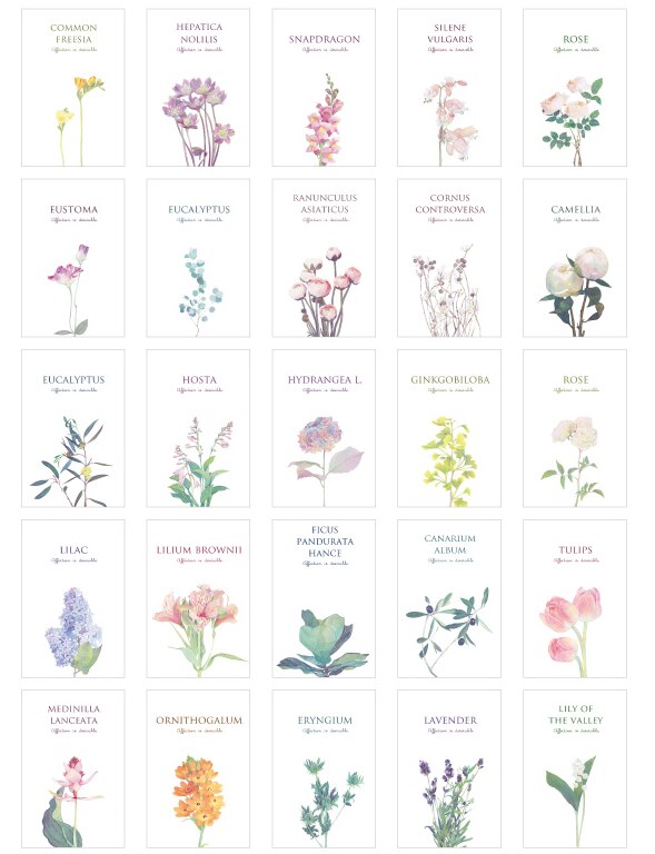 Plant poem paper postcard(1pack=30pieces)