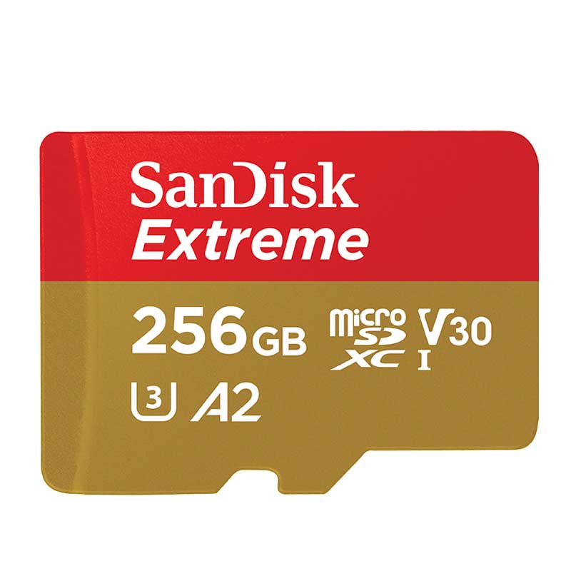 SanDisk Micro SD Card 100MB/s 256GB 128GB 64GB 32GB 16GB U3/U1 V30 A1 Class 10 Memory Card SDXC SDHC microsd Flash TF Card: V30-256GB