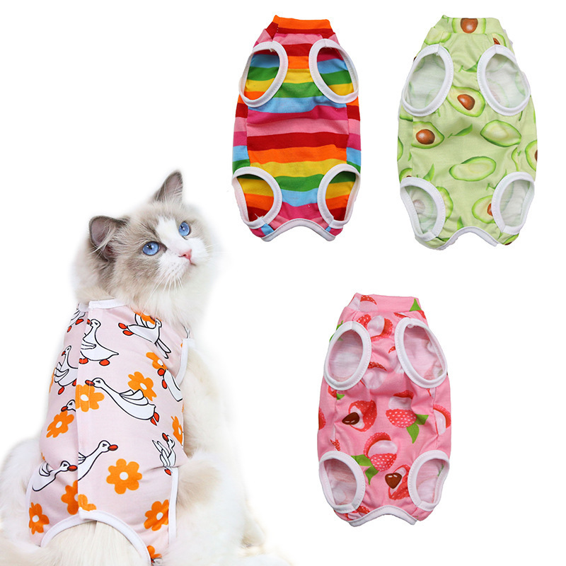 Terno profissional de recuperação para gatos, para feridas abdominais ou doenças da pele, terno neutro para gatos masculinos
