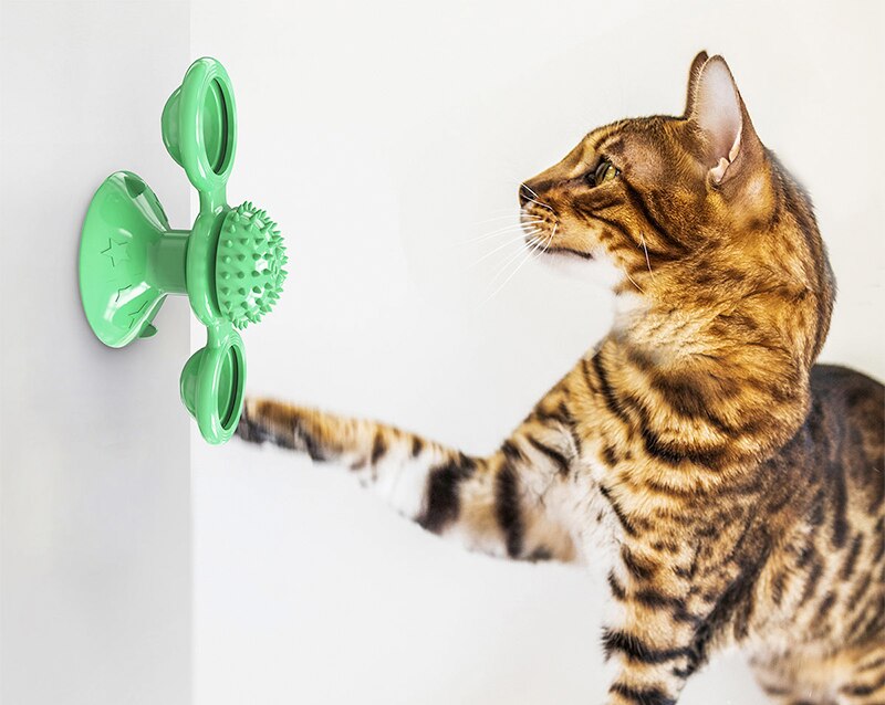Husdjursleksaker katt spinner väderkvarn kattleksak skivspelare rolig kattleksak som kliar och gnuggar hårborste