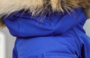 Dog Fur Jacket Warm for Winter B927: Blue / XL