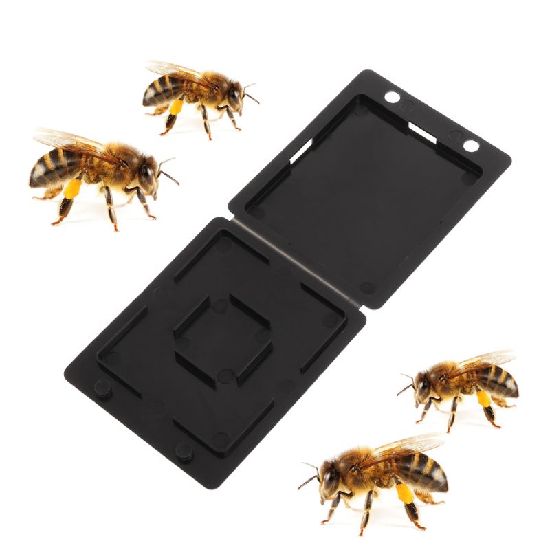 5Pcs Bijenkorf Bee Val Kever Collector Insect Container Bijenteelt Opslag Nest Bijenkorf Case Catching Deksel Voor Tuin Boer