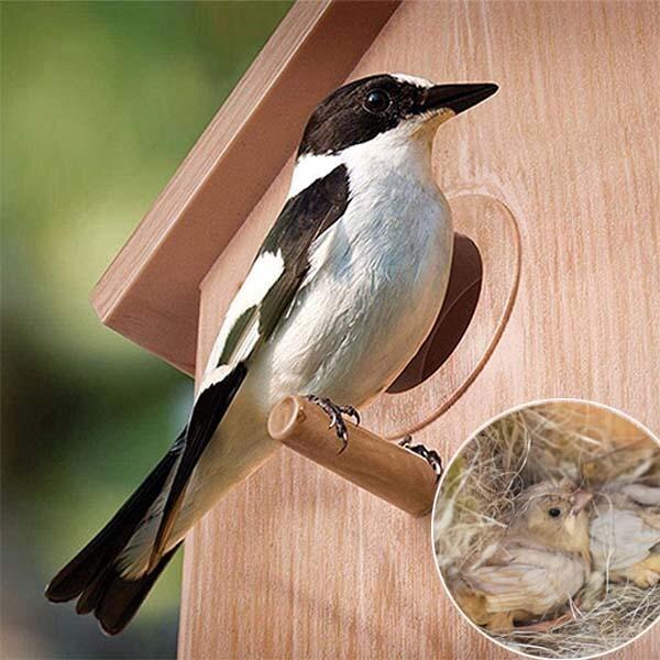 Diy Sucker Vogelnest Houten Vogel Huis Nest Handgemaakte Milieuvriendelijke Vogelnest Kooi Outdoor Vogelhuisje Tuin Yard Opknoping