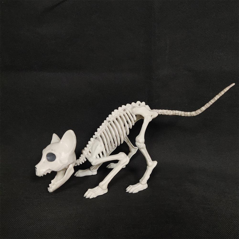 Scheletro di animale Del Gatto Del canna Del topo Modello di Scheletro M1K8