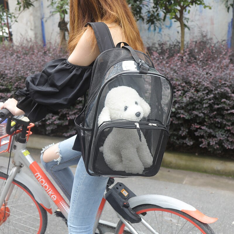 Huisdier Rugzak Kat En Hond Universele Transparante Reistas Uit Rugzak Kat En Hond Rugzak