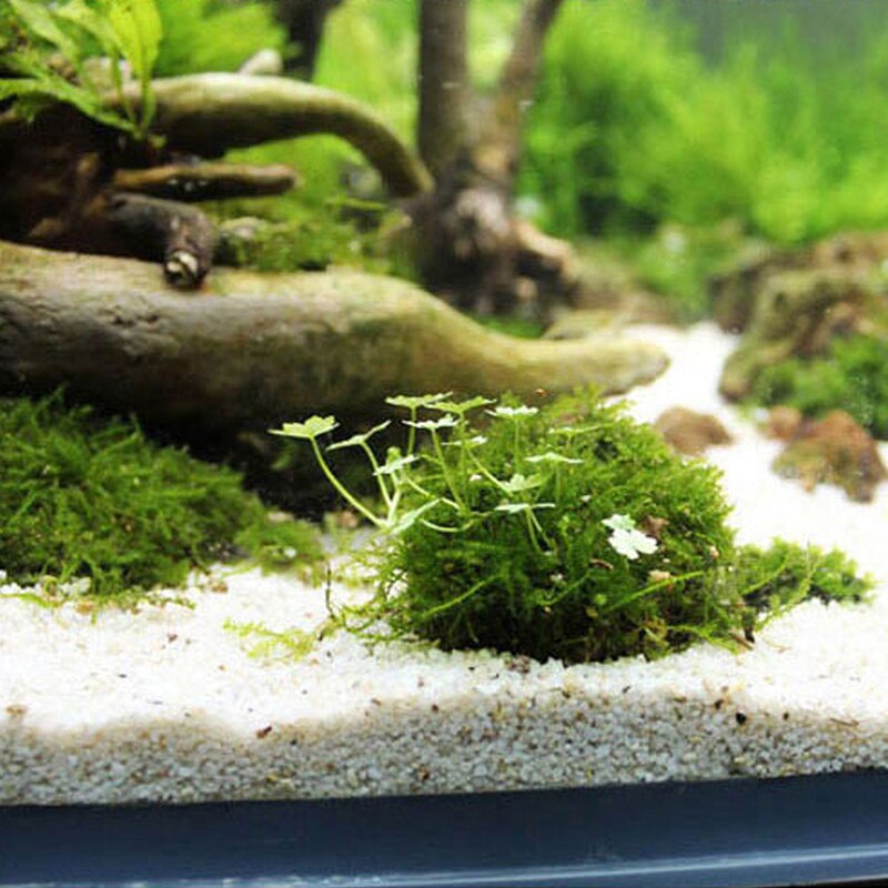 Natuurlijke Minerale Aquatic Moss Bal Voor Aquarium Crystal Red Garnalen Fish Tank