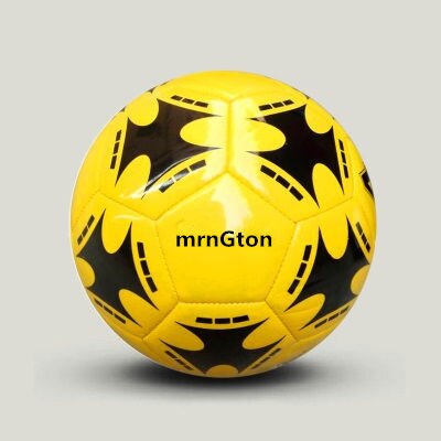 Professionelle Size5/4 Fußball Ball Premier Erwachsene YouthGoal Team Spiel Ball Fußball Training Nahtlose League Futbol Voetbal -41: Y swallowSize 4