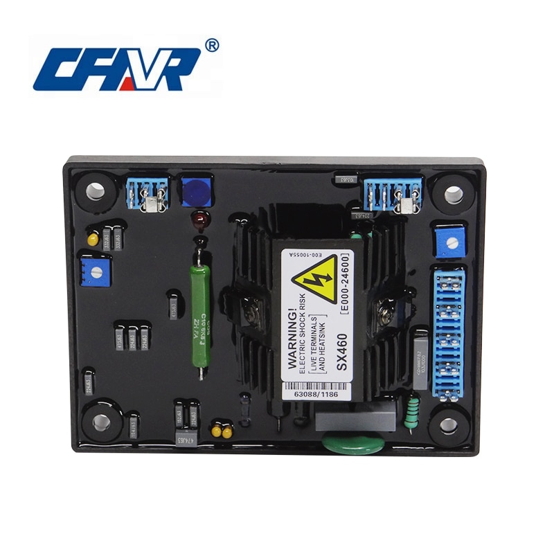 Semi Prato BLUE COUNTRY + MYCO KG 1 | Miscela Di Semi Per Tappeto Erboso | Giardino E Esterni - Foto 7