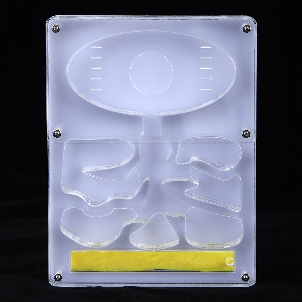 Acrylic Transparent Ant Breeding House Nest Formicarium Display Box Ornamental Reptiles Living Box Acrylic Breeding Box Ant Farm