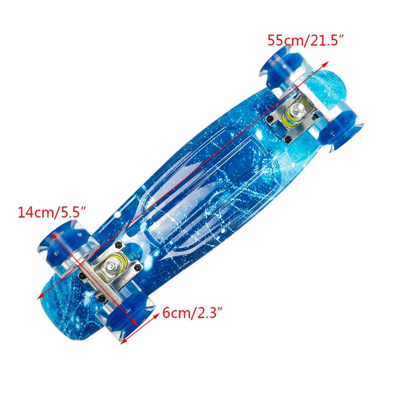 22in Complete Mini Cruiser Skateboard Longboard Flashing Wheel Fish Skate Board