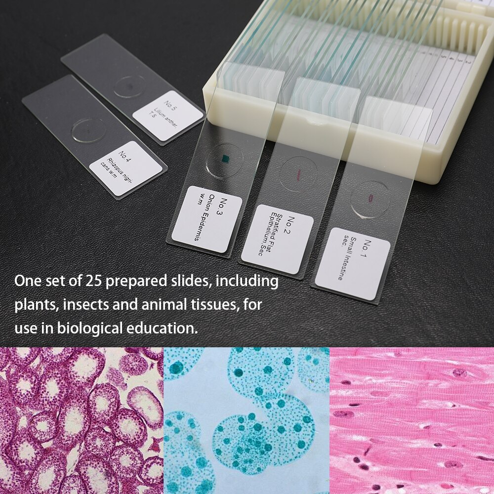 25PCS/Set Coverslips Glass Microscope Slides Educational Microscope Cover Slips Animal Plants Insects Tissues Science Specimen