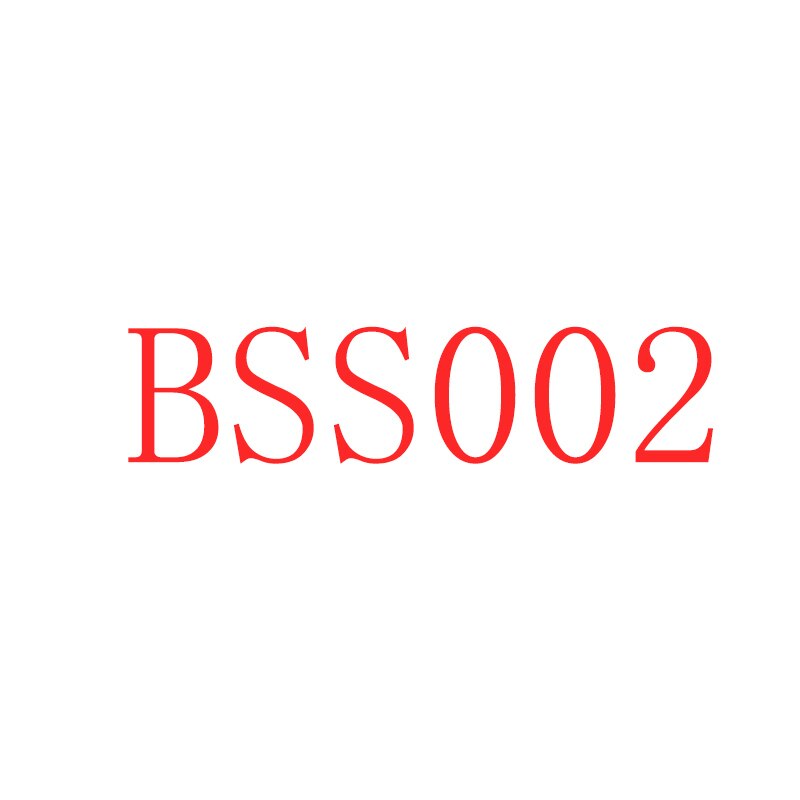 BSS002 pendant necklace