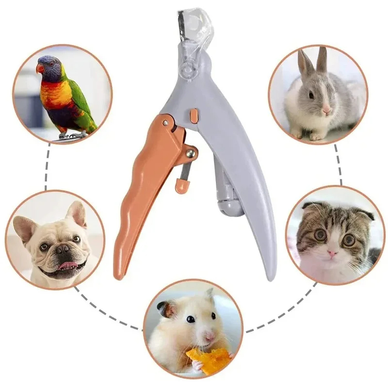 Ciseaux professionnels pour coupe-ongles pour animaux de compagnie, avec lumière LED, pour chat et chien, outil, ciseaux pour couper les griffes des orteils, fournitures pour animaux de compagnie