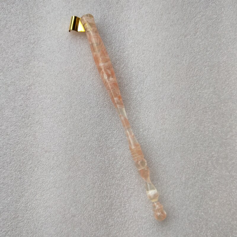 anglais Oblique calligraphie Dip porte-stylo Copperplate gothique plume Script titulaire d'anniversaire Antique plume Dip stylo