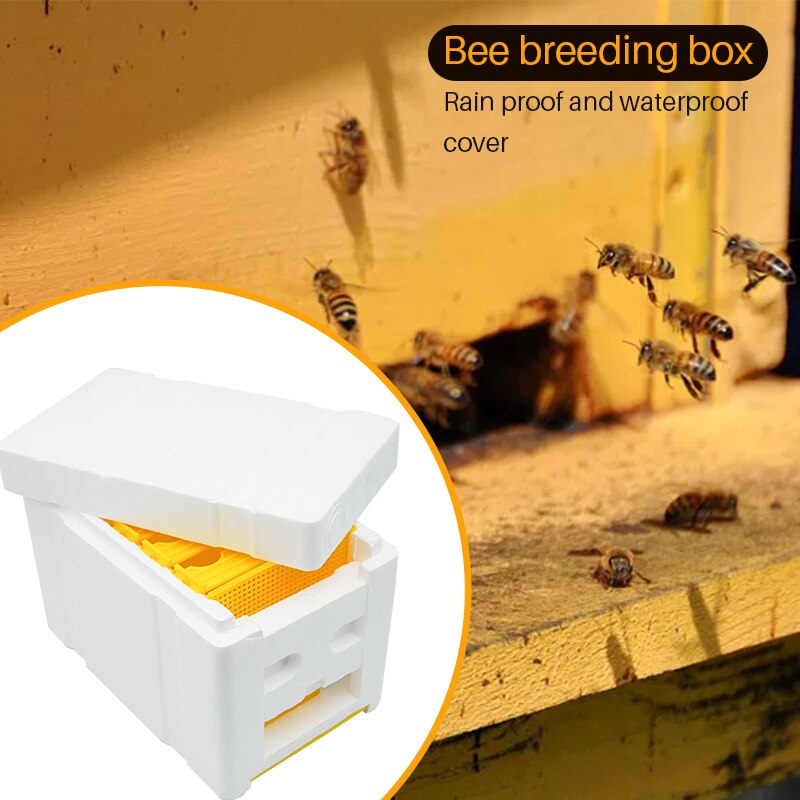 1 Set Beekeeping King BeeHive Tools Foam Beehives Nuc Harvest Pollination Box Beekeeper Bee Rearing Mating Hive Box Apiculture