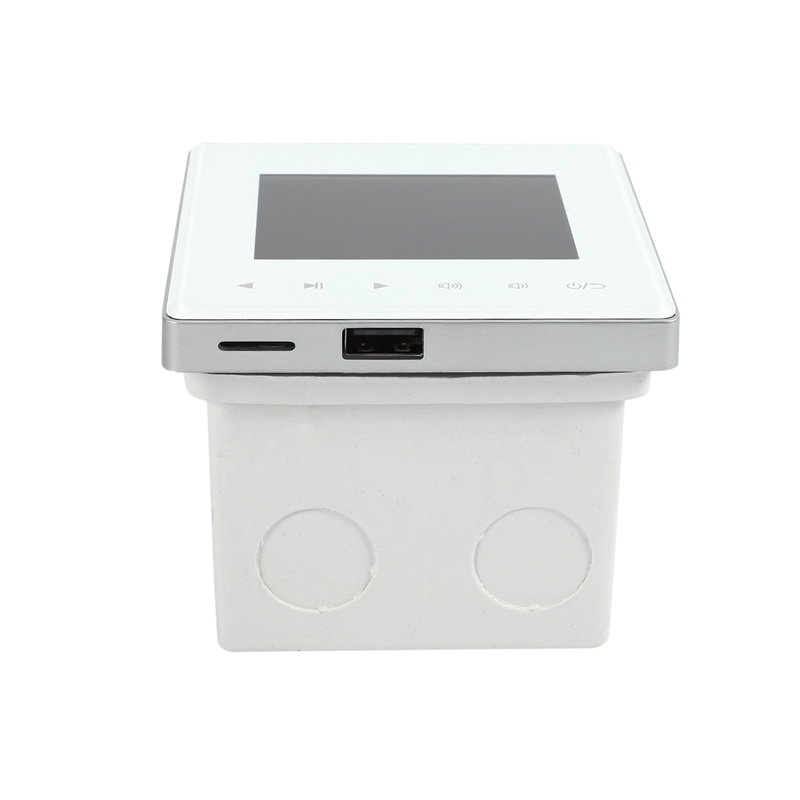 Bluetooth Smart Control Music System Ceiling Speaker Modules Home Audio System Digital Stereo Amplifier in Wall for Hotel